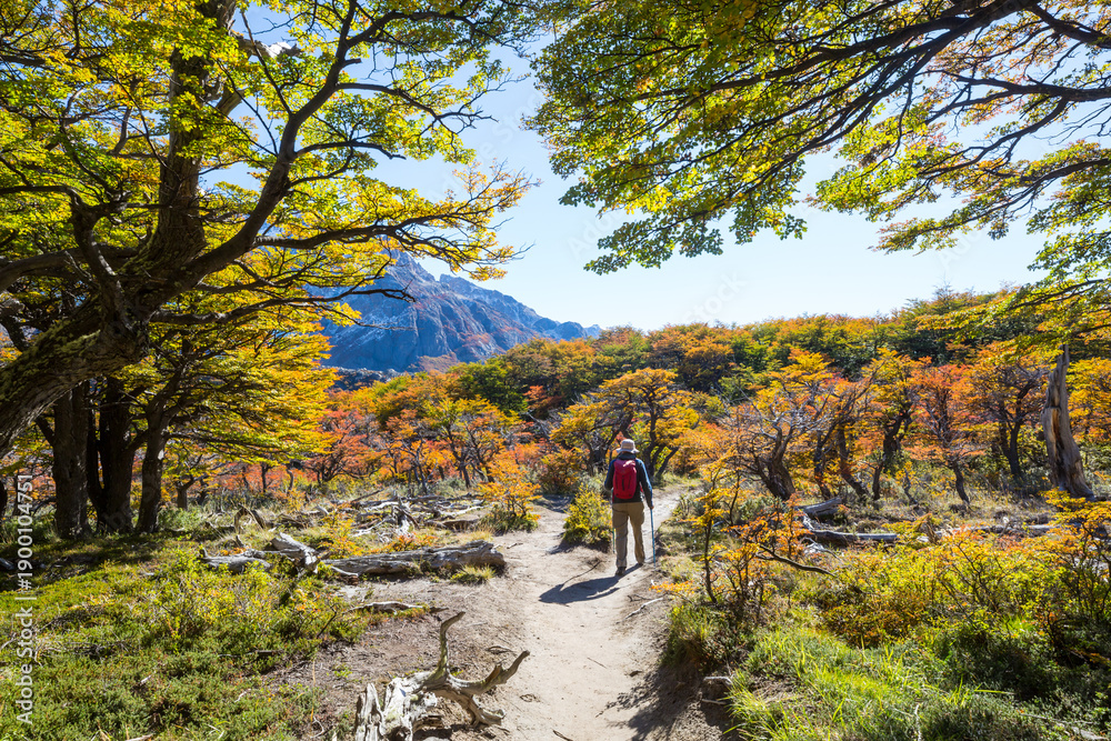 Obraz premium Hike in Patagonia
