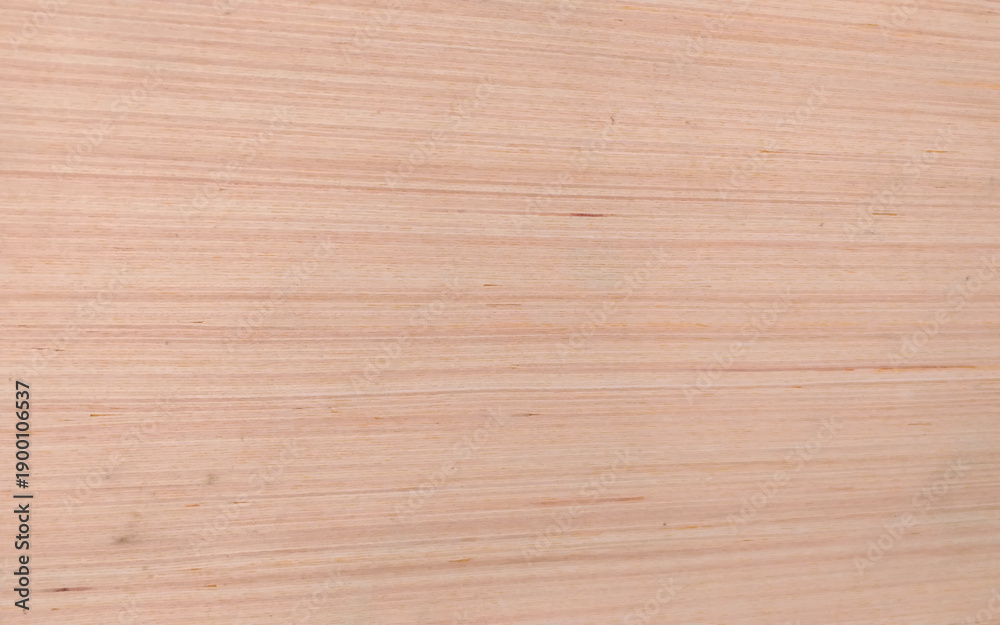 Fototapeta premium Light Natural Wood Texture Background. 