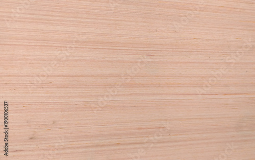 Light Natural Wood Texture Background. 