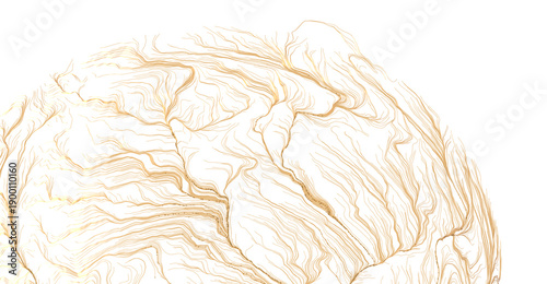 Elegant abstract design fea...