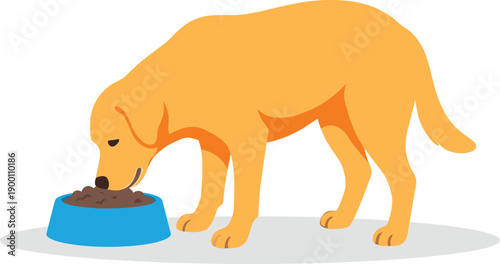 Cute golden retriever dog eating dry food from a blue bowl, flat cartoon vector illustration of pet care and daily routine isolated on white.