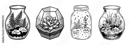 Four different hand-drawn terrarium illustrations in a black and white line art style, showcasing miniature gardens with succulents, moss, and ferns inside various glass containers