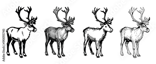 Collection of four hand-drawn reindeer illustrations with large antlers, showcasing diverse artistic sketch styles including graphic, line art, and cross-hatching