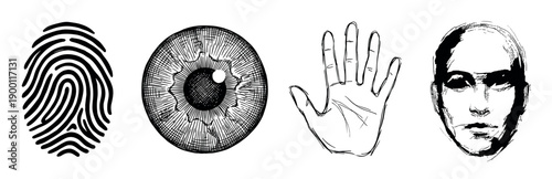 Four hand-drawn biometric identification symbols including a fingerprint, iris scan, palm print, and facial recognition in a black ink sketch illustration