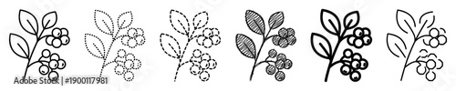 Set of black berry branch icons in various outline styles including solid, dotted, dashed, and scribbled for graphic design elements and botanical illustrations