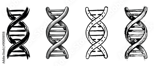Set of four hand-drawn DNA double helix illustrations in a black ink sketch style showing different artistic interpretations of the genetic molecule