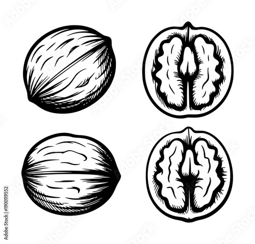 Whole walnuts and halved walnuts shown in a black and white style food ingredient