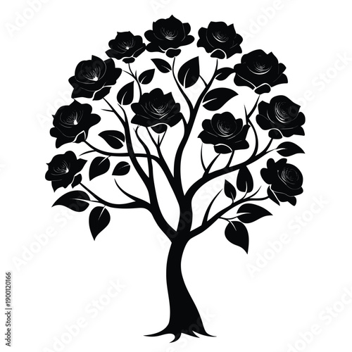 zephyranthes robusta silhouette flower vector isolated