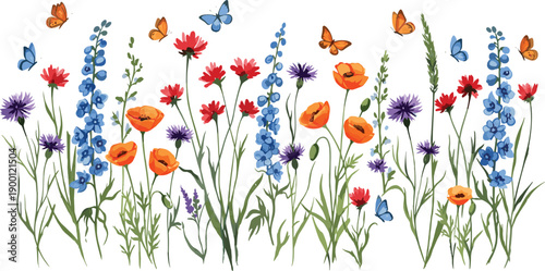Colorful summer wildflower meadow background with poppies cornflowers and butterflies cad drawing flat vector illustration isolated on white for garden design