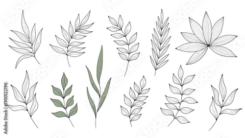 Comprehensive collection of leaf sketches presents a mix of simple line drawings and delicately colored green foliage in various botanical styles.