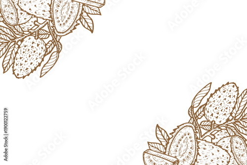 Soursop fruit ink drawing frame. Vintage design with brown outline line arts. Guanabana sliced and whole fruit on branch background in sketch style.