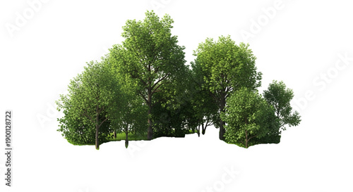 Green forest isolated on transparent background. 3d rendering illustration. Row of trees and bushes on a patch of green grass isolated on a transparent background.