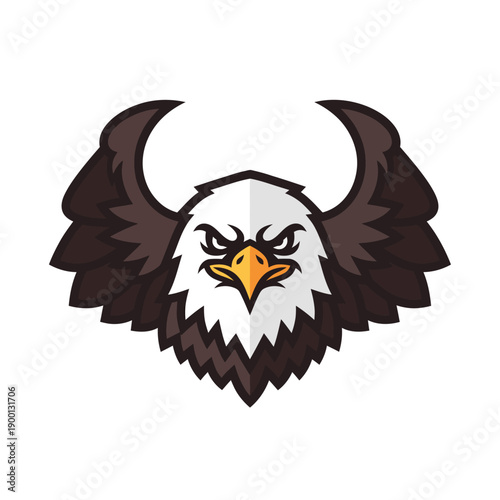 Eagle Head Illustration with Sharp Talons and Outstretched Wings