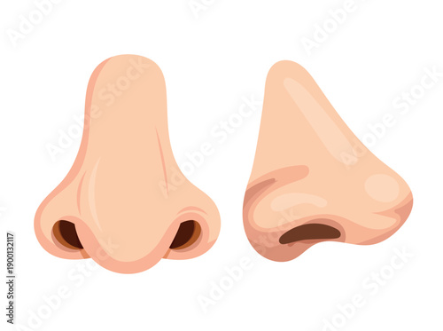 Nose, body parts. Flat vector clipart, illustration with isolated background.
