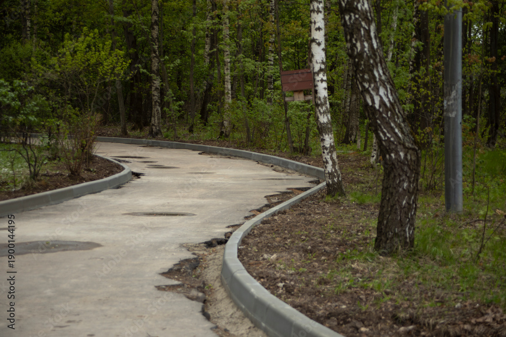 Obraz premium Repair of the road in the park. Installation of curbs on the road. Road condition during repairs.