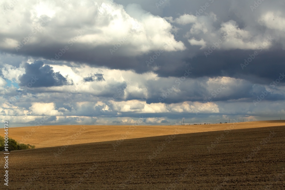 Naklejka premium beautiful view in farm field with rural plants