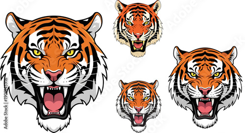 Fierce and majestic tiger head illustrations showcasing roaring expressions in various sizes perfect for graphic design projects