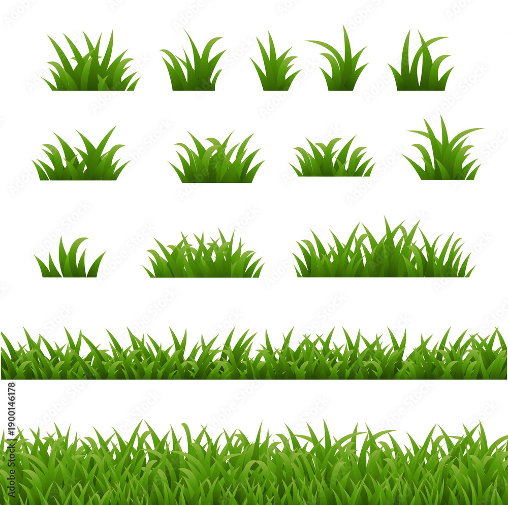 Fototapeta premium Green Grass Isolated White Background