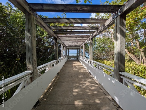 Dock leading to the ocean, Puerto Rico nature preserve