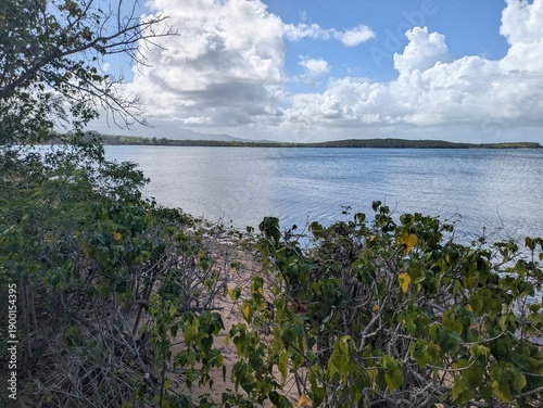 Reflective lake with clouds, Puerto Rico
