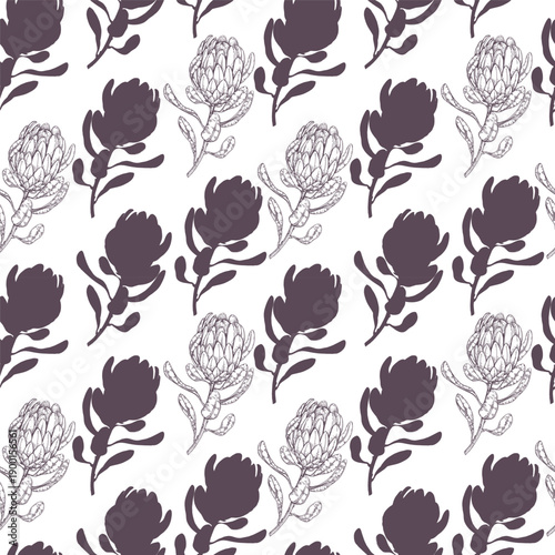 Seamless pattern of Protea flower