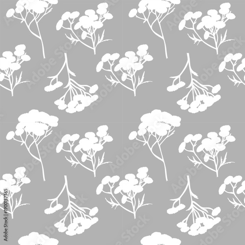 Seamless pattern of Common tansy plant