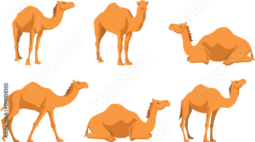 camels in multiple poses, including standing, walking, and resting positions, ideal for desert-themed designs, educationalcamels in different poses with saddles and cargo, cartoon style