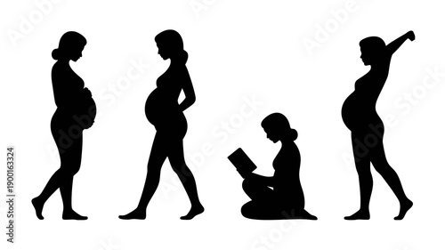 a silhouette illustration depicts the stages of pregnancy showing a woman s changing body throughout the nine months from early to full term high quality professional