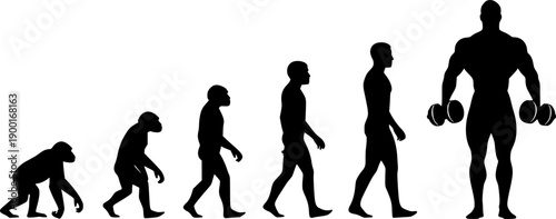 Human evolution silhouette vector, primate to bodybuilder, fitness progression, muscular man with dumbbells, black icons for science, anatomy, gym concept 