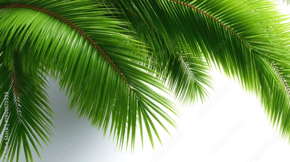 Fototapeta premium Green leaves fill the frame against a white background, highlighting the texture and shapes in soft light