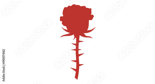 red rose silhouette with thorns on white background