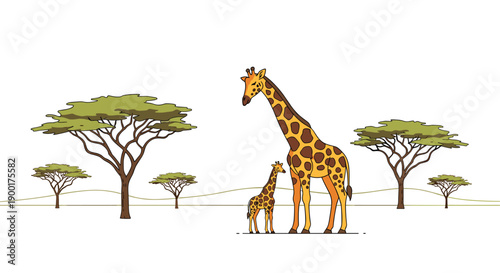 Adult and baby giraffe standing calmly in a sparse African savanna landscape with distinctive acacia trees under a
