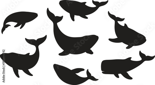 Whale silhouette collection seven black whales on white background silhouette