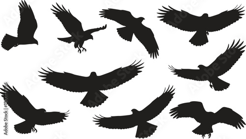 Collection of flying bird silhouettes in various positions and angles showcasing dynamic movements