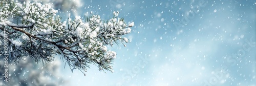 a snow-covered pine branch on the left side, with white space for text the background is a light blue sky Generative AI