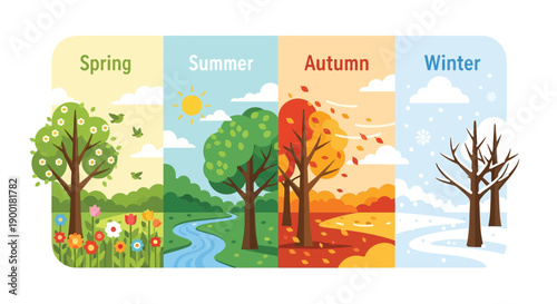 Four seasons depicted with trees and changing foliage in a colorful illustration