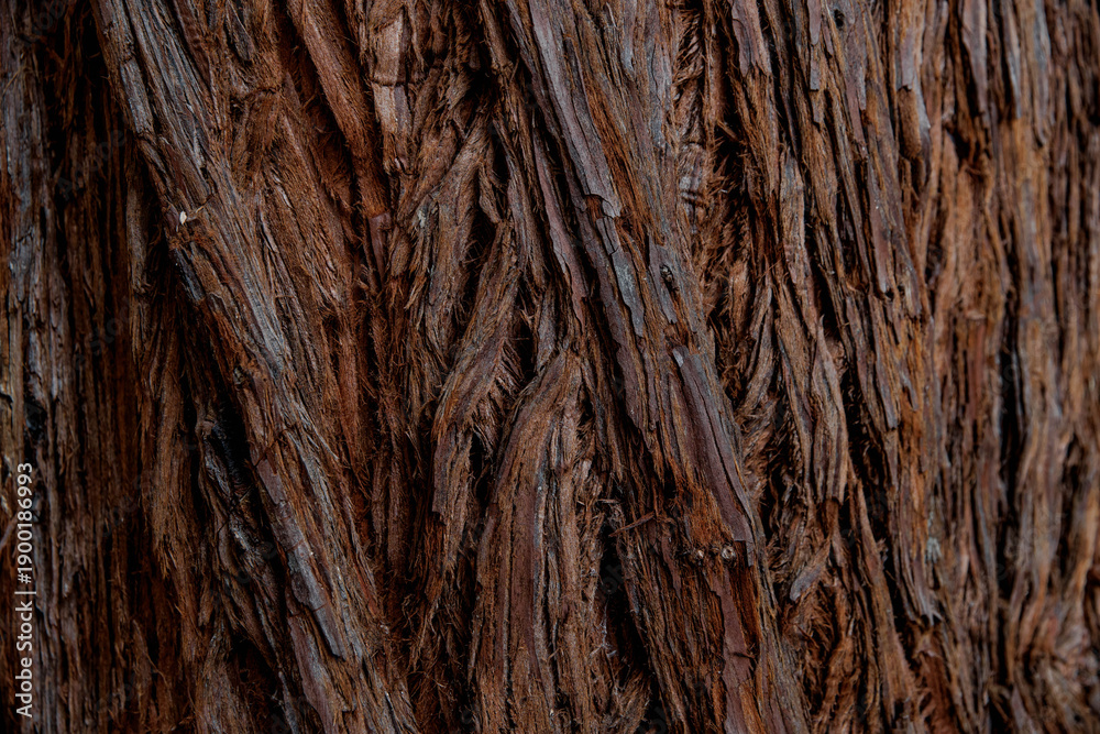 Obraz premium Close-up of a textured tree bark with rich brown tones and intricate patterns. The surface shows natural lines and grooves, highlighting the wood's age and character.