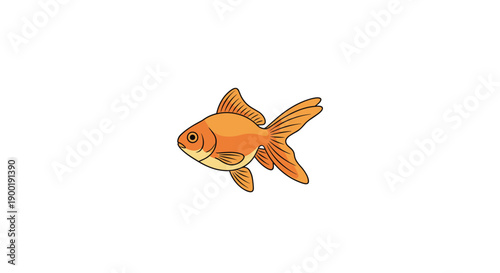 Classic goldfish with short, compact, sturdy fins, swimming simply in an isolated, charming aquatic environment