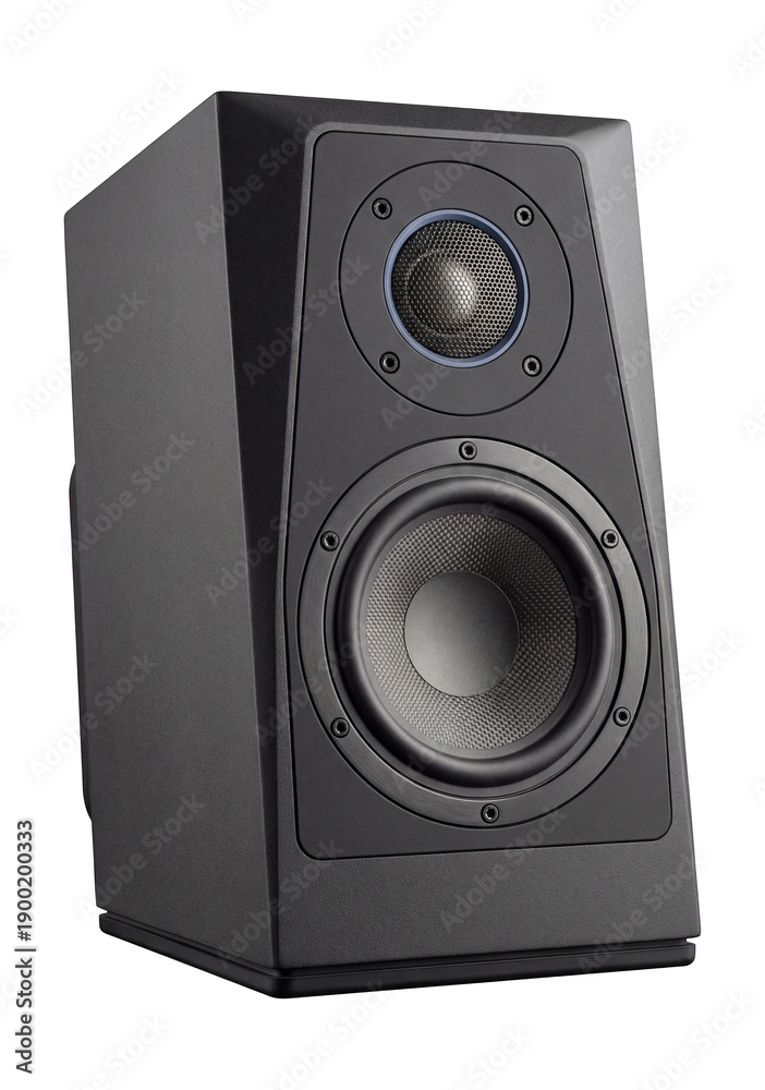 Fototapeta premium Bookshelf speaker with angled baffle and exposed driver screws