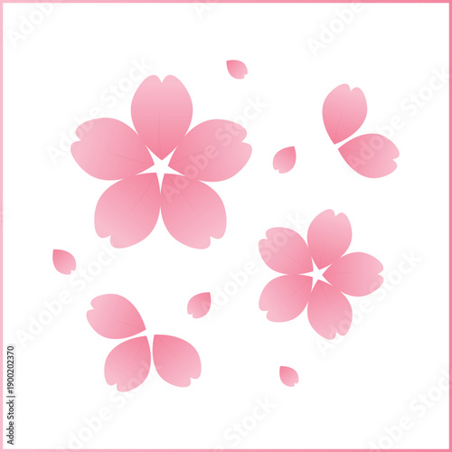 Soft pink cherry blossom flowers with falling sakura petals. Sakura illustration. Minimal floral vector. For spring design, Romantic background, wedding card, feminine branding, and gentle themed art.