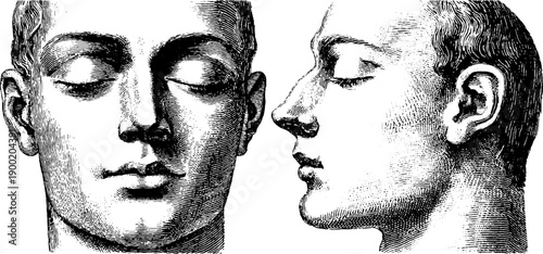 Vintage botanical engraving of neutral human face silhouette for art and design