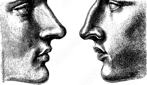 Vintage anatomical engraving of human nose profiles for study and design