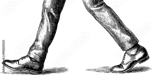 Vintage engraving of human leg walking motion for botanical study and design