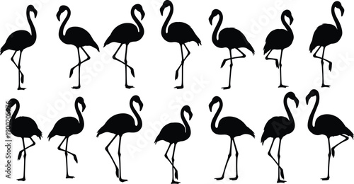 Flamingo silhouette vector set with elegant standing poses tropical bird wildlife nature decorative illustration isolated on white background