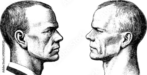 Vintage botanical engraving of neutral human face in front and side view - classic portrait design
