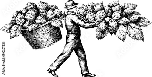 Vintage botanical scene with person carrying basket of plants - hand drawn engraving for design and print