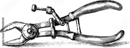 Detailed vintage gripping tongs botanical engraving for design and decoration