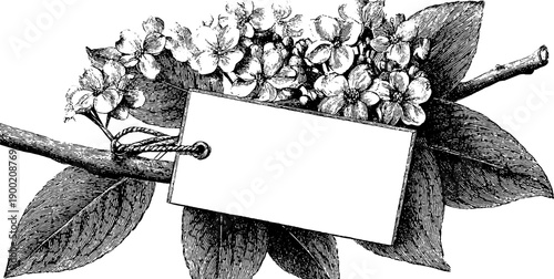 Vintage botanical label frame with blank center for design and decoration