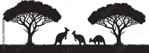 Black silhouette of three kangaroos grazing near acacia trees on a white background also transparent background