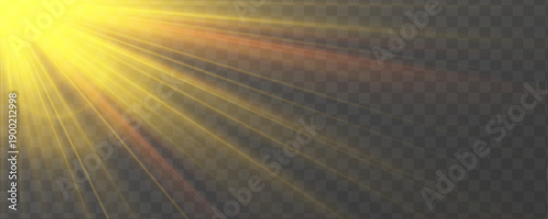 Realistic summer sunlight with radiant flare glow. Bright transparent beam overlay with shimmer dust. Warm magic shine for fantasy compositions.